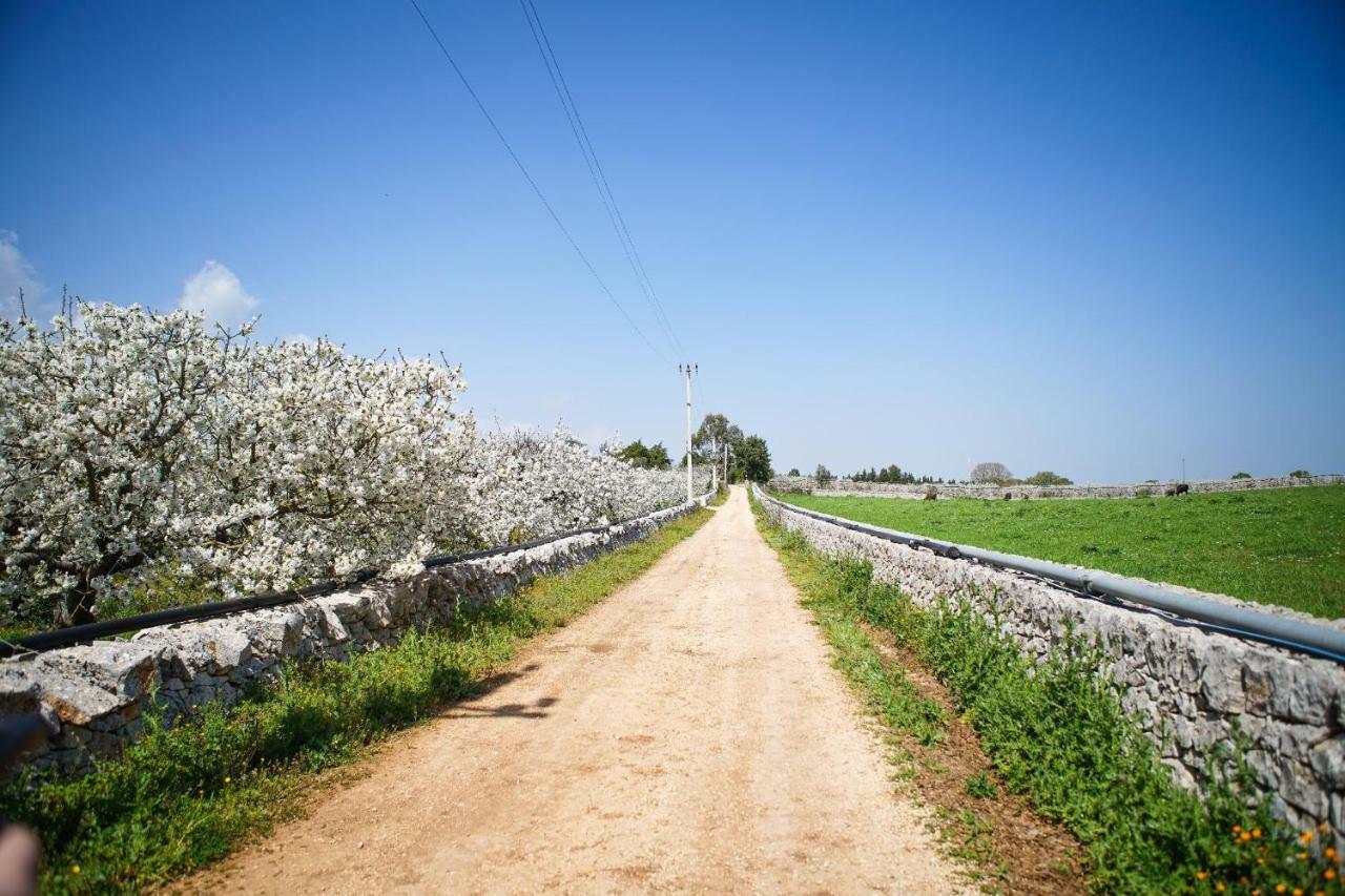 Masseria Guadiano Vecchio Santa Lucia  Kültér fotó