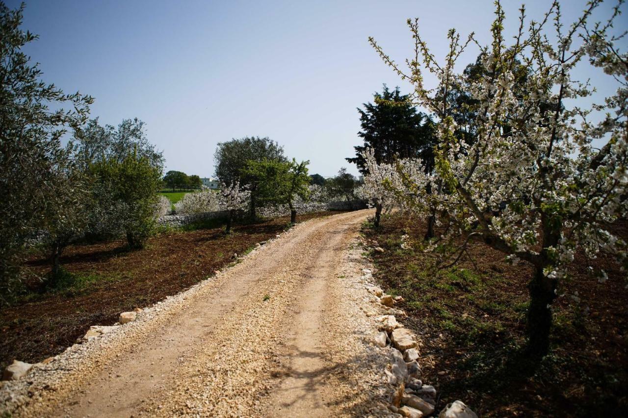 Masseria Guadiano Vecchio Santa Lucia  Kültér fotó
