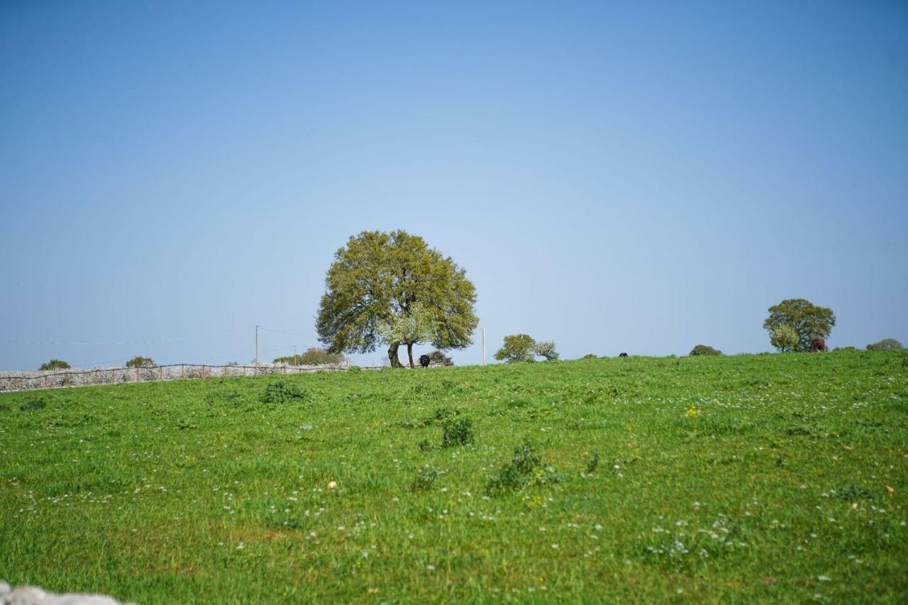 Masseria Guadiano Vecchio Santa Lucia  Kültér fotó